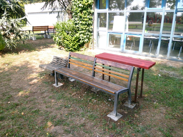 The Bench